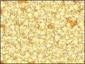 Popcorn.jpg